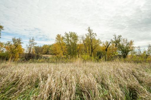 TBD 730th Ave, Olivia, MN 56277