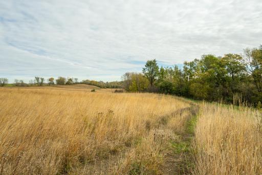 TBD 730th Ave, Olivia, MN 56277