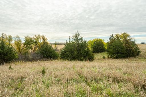 TBD 730th Ave, Olivia, MN 56277