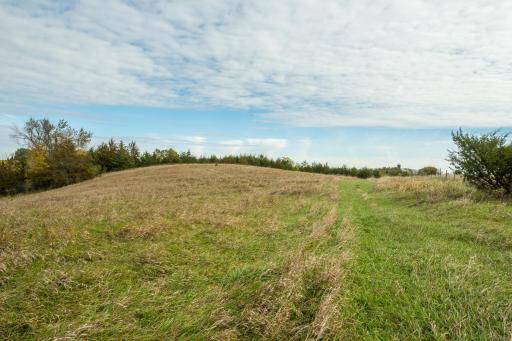 TBD 730th Ave, Olivia, MN 56277
