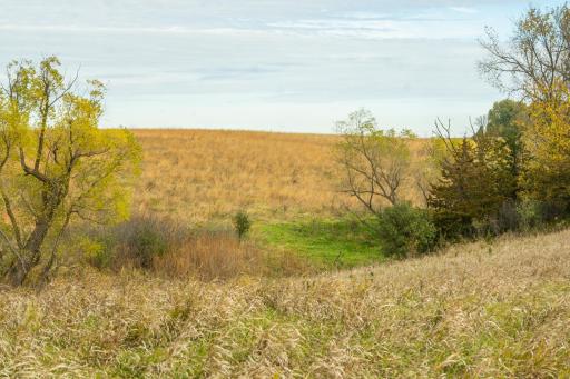 TBD 730th Ave, Olivia, MN 56277