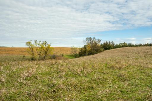 TBD 730th Ave, Olivia, MN 56277