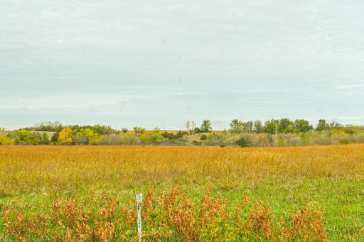 TBD 730th Ave, Olivia, MN 56277