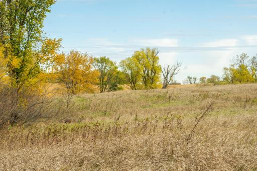 TBD 730th Ave, Olivia, MN 56277