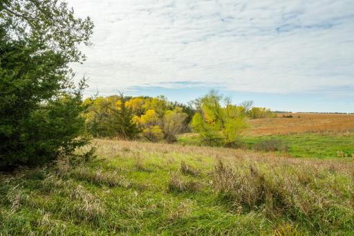 TBD 730th Ave, Olivia, MN 56277