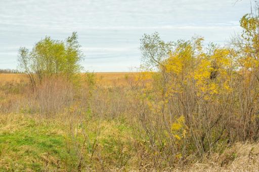 TBD 730th Ave, Olivia, MN 56277