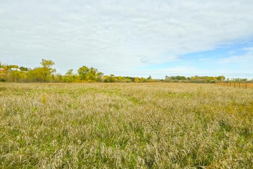 TBD 730th Ave, Olivia, MN 56277