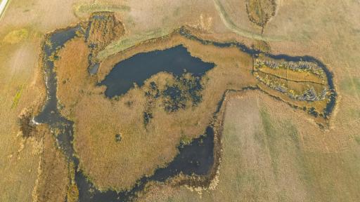 dji_fly_20251022_162932_494_1761159355808_photo.jpg