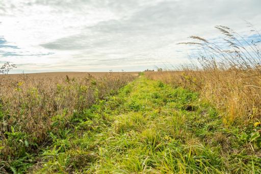 TBD 730th Ave, Olivia, MN 56277