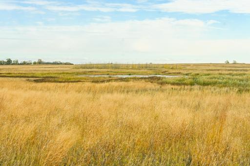 TBD 730th Ave, Olivia, MN 56277