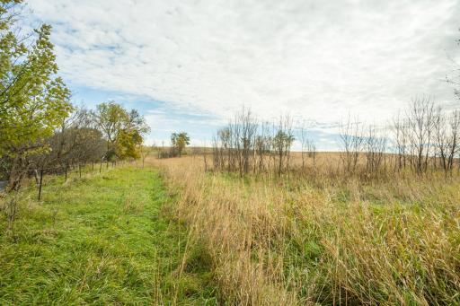 TBD 730th Ave, Olivia, MN 56277