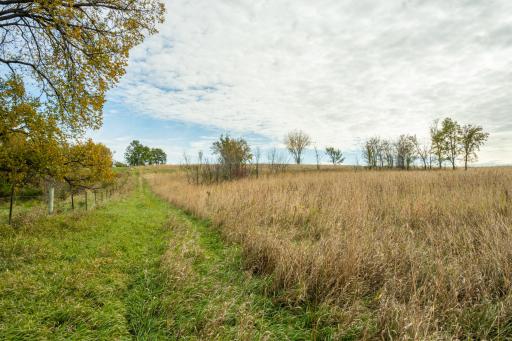 TBD 730th Ave, Olivia, MN 56277