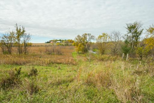 TBD 730th Ave, Olivia, MN 56277