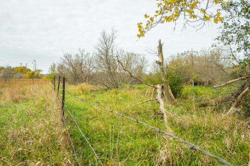 TBD 730th Ave, Olivia, MN 56277