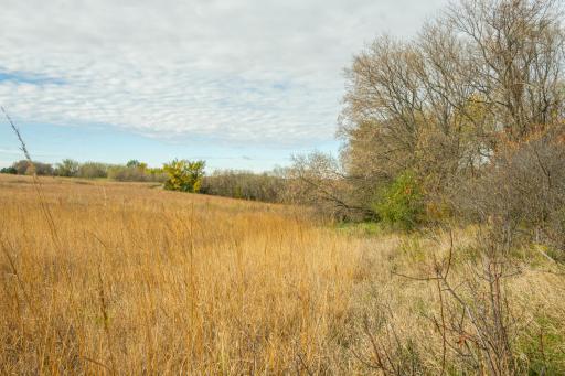 TBD 730th Ave, Olivia, MN 56277