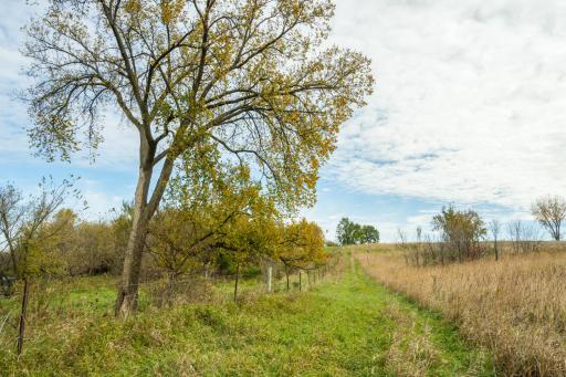 TBD 730th Ave, Olivia, MN 56277