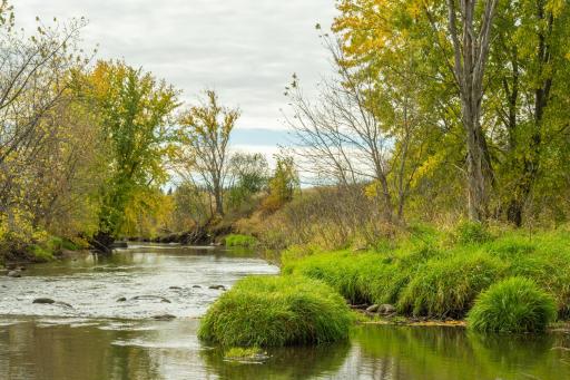 TBD 730th Ave, Olivia, MN 56277