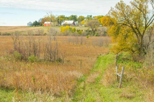 TBD 730th Ave, Olivia, MN 56277