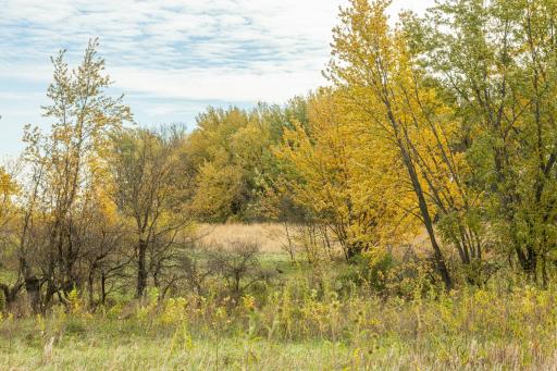 TBD 730th Ave, Olivia, MN 56277