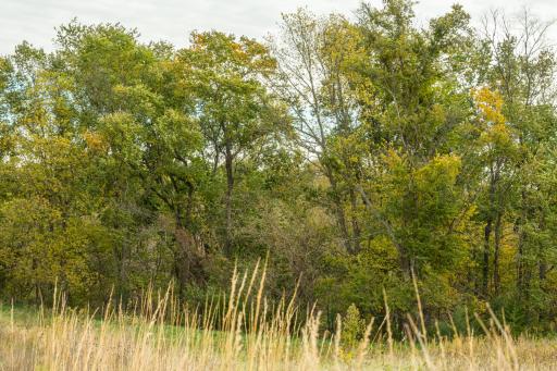 TBD 730th Ave, Olivia, MN 56277