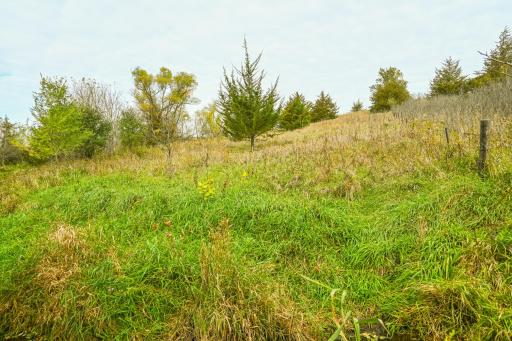 TBD 730th Ave, Olivia, MN 56277