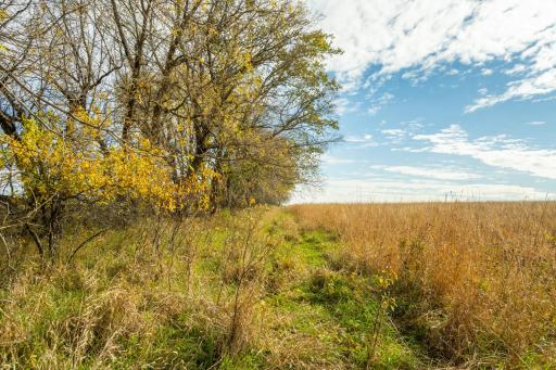 TBD 730th Ave, Olivia, MN 56277