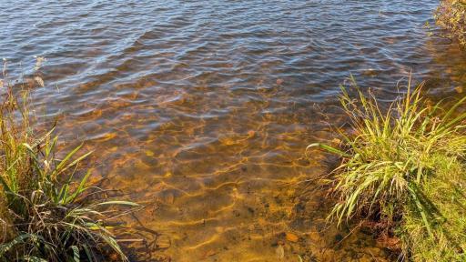 Photo for 24608 E Long Lake Road, Bigfork, MN 56628 - listing #6809349 24608 E Long Lake Road, Bigfork, MN 56628