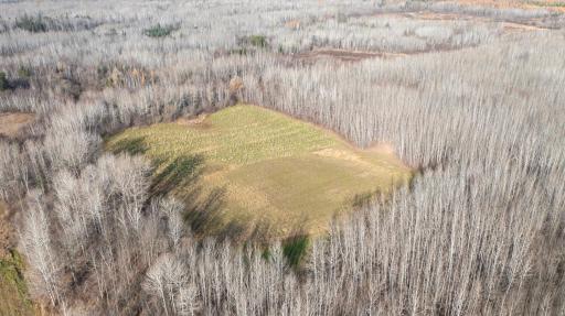 11680 County 59 Road, Orr, MN 55771