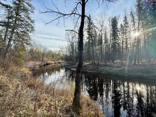 TBD Township Rd. 98, Loman, MN 56654