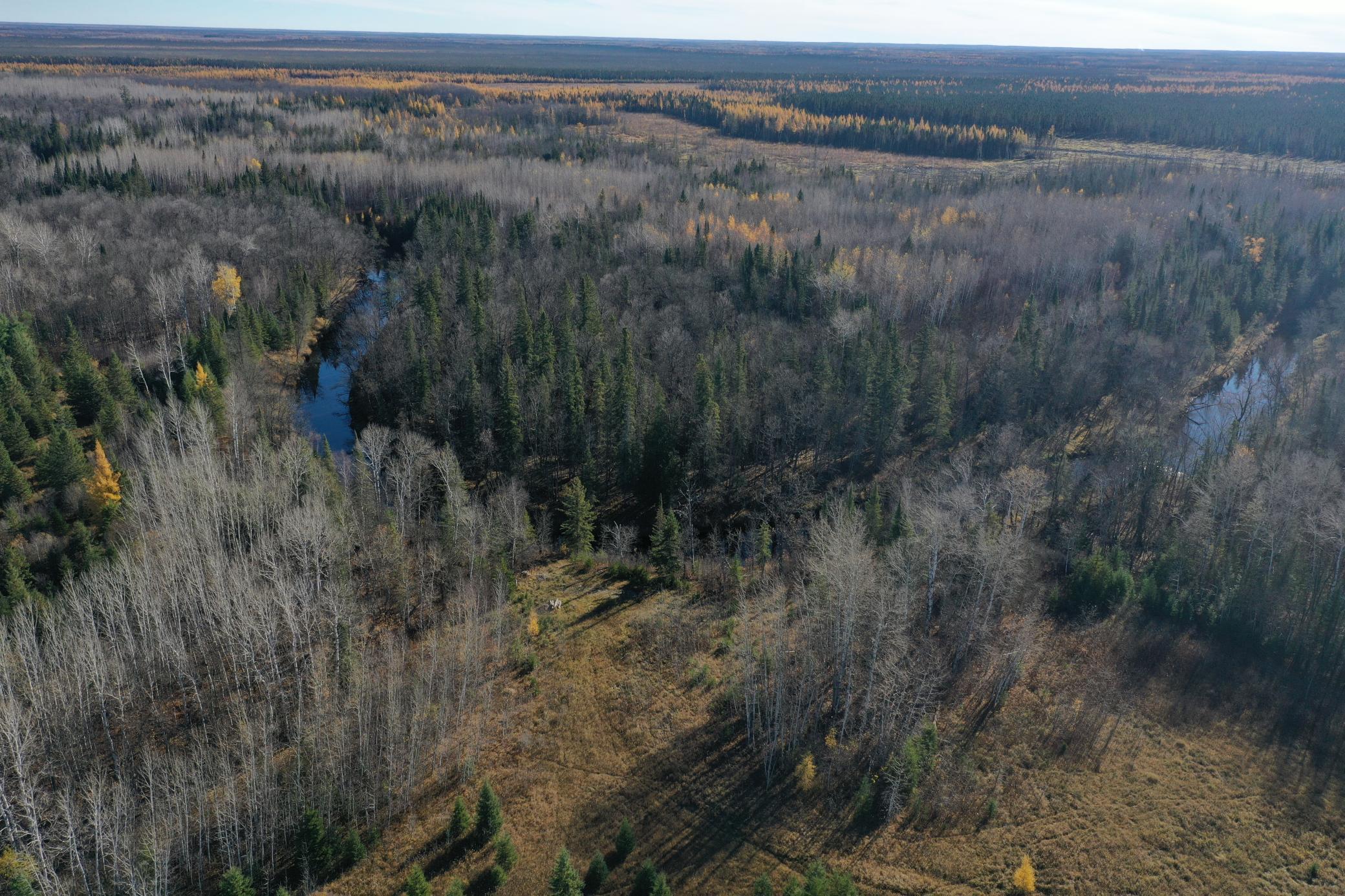 TBD Township Rd. 98, Loman, MN 56654