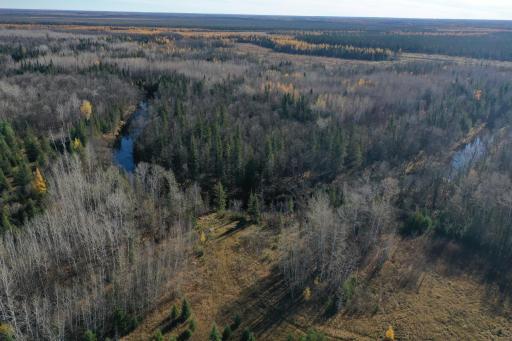 TBD Township Rd. 98, Loman, MN 56654