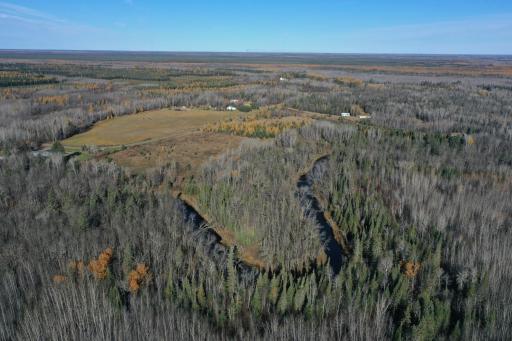 TBD Township Rd. 98, Loman, MN 56654