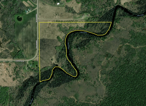 TBD Township Rd. 98, Loman, MN 56654