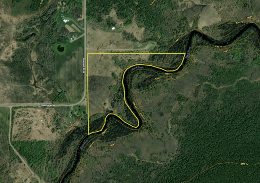 TBD Township Rd. 98, Loman, MN 56654