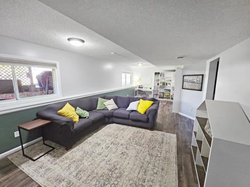 The lower level family room is a perfect spot to hangout.