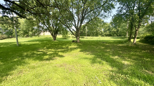 312 Alder Road, South Haven, MN 55382