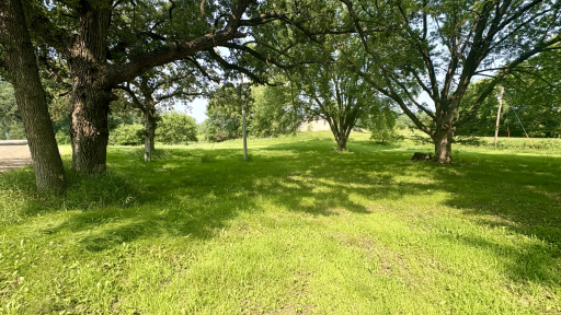 312 Alder Road, South Haven, MN 55382