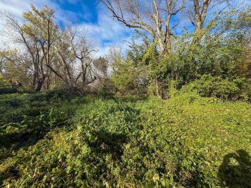 tbd County 26, Houston, MN 55943