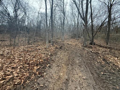 tbd County 26, Houston, MN 55943