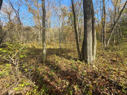 tbd County 26, Houston, MN 55943