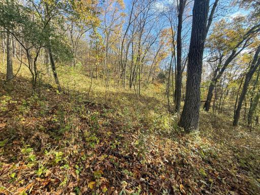 tbd County 26, Houston, MN 55943