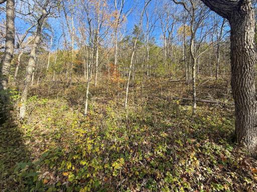 tbd County 26, Houston, MN 55943