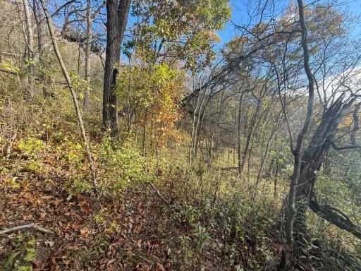 tbd County 26, Houston, MN 55943