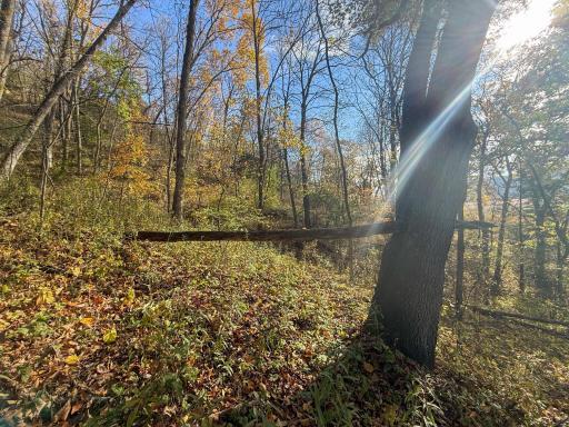 tbd County 26, Houston, MN 55943