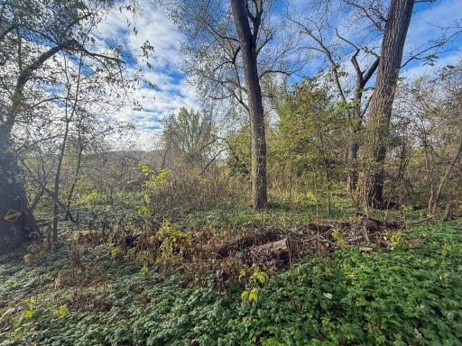 tbd County 26, Houston, MN 55943