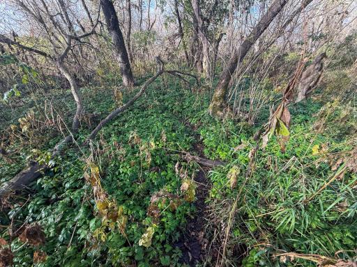 tbd County 26, Houston, MN 55943