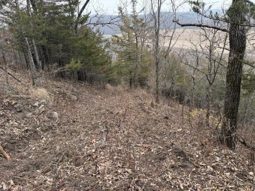 tbd County 26, Houston, MN 55943