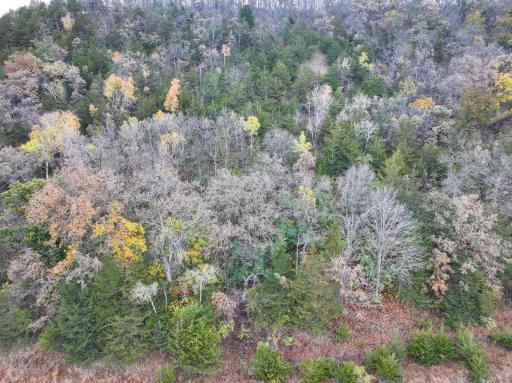 tbd County 26, Houston, MN 55943