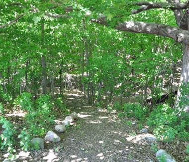 wooded trails.