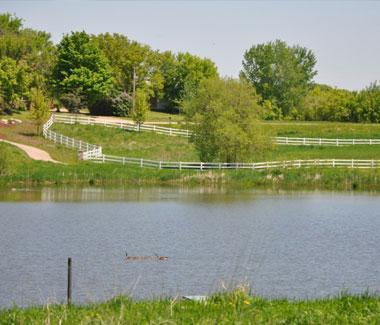 green pasture land